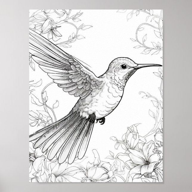 Póster Hummingbird Coloring adulto (Frente)