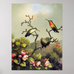 Póster Hummingbird Family and Apple Blossom Poster