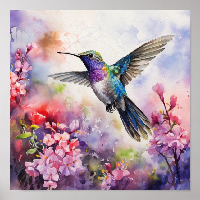 Póster Hummingbird Garden (Frente)