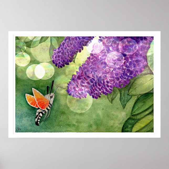 Póster Hummingbird Hawk Moth y Lilacs (Frente)