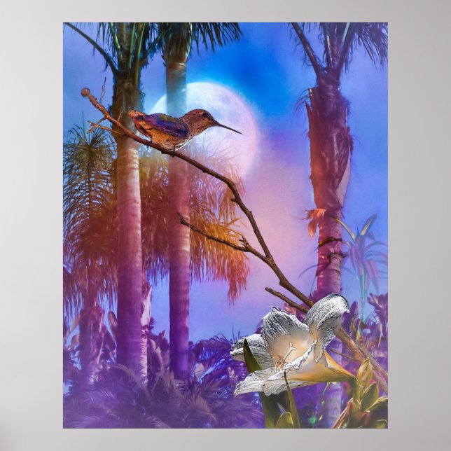 PÓSTER HUMMINGBIRD MOONLIGHT OASIS (Frente)