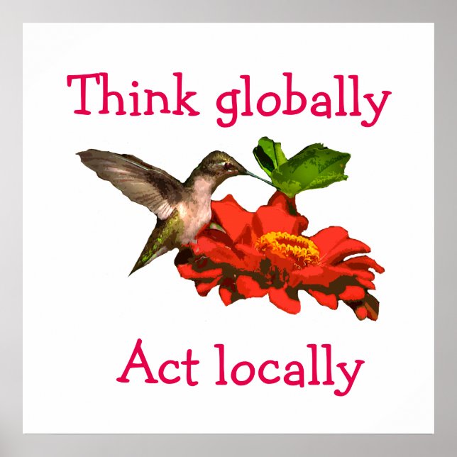 Póster Hummingbird piensa que el acto global es Poster ro (Frente)