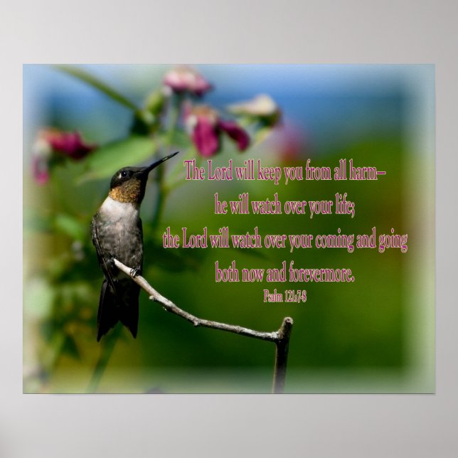 Póster Hummingbird Psalm 121:7-8 (Frente)