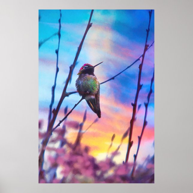 PÓSTER HUMMINGBIRD SUNRISE GLORY (Frente)