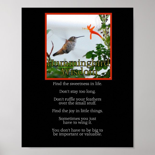 Póster Hummingbird Wisdom Poster (Frente)