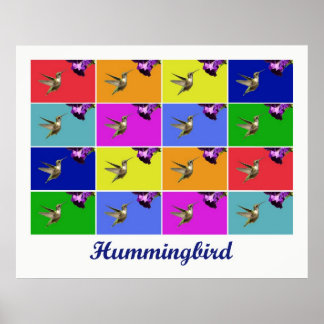 Póster Hummingbird x16 (Titulado)