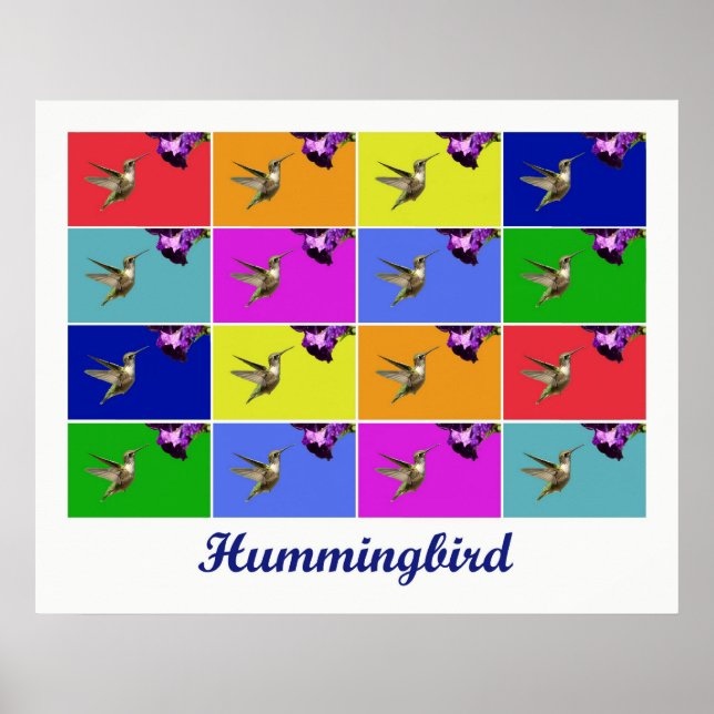 Póster Hummingbird x16 (Titulado) (Frente)
