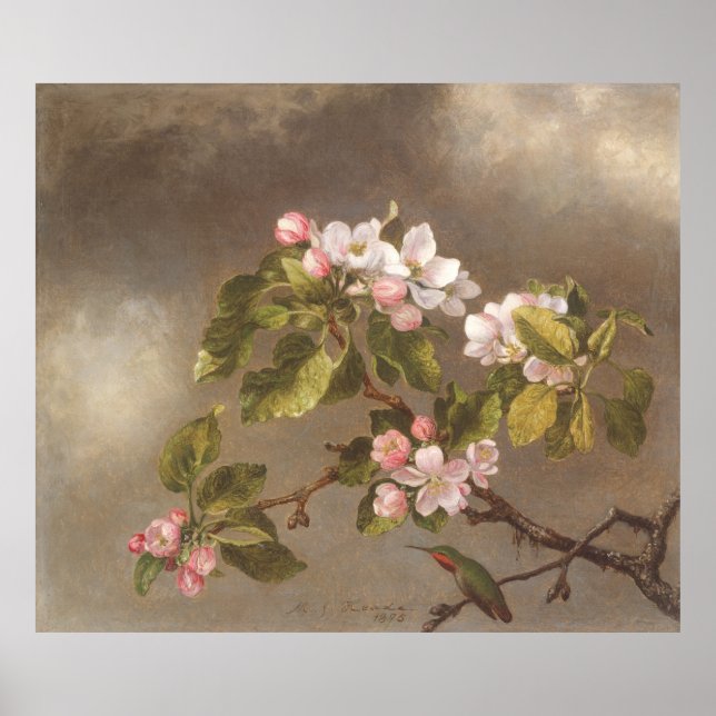 Póster Hummingbird y Apple Blossoms 1875 Poster (Frente)