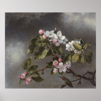 Póster Hummingbird y Apple Blossoms Martin J. Heade