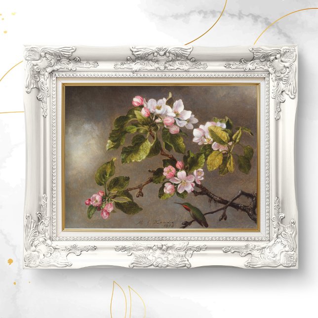 Póster Hummingbird y flores de manzana (Subido por el creador)