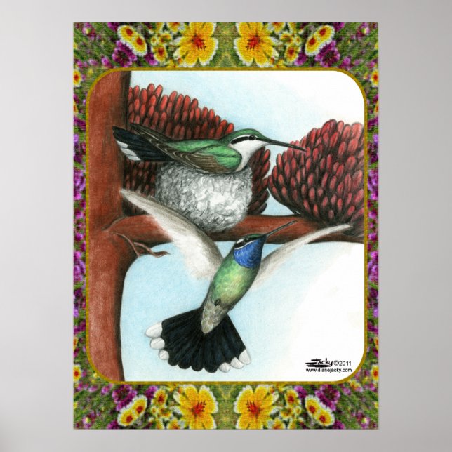 Póster Hummingbirds and Flowers #3 (Frente)
