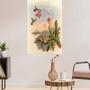 Póster Hummingbirds por John Gould