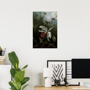 Póster Hummingbirds y Orquídea Blanca por Martin J. Heade
