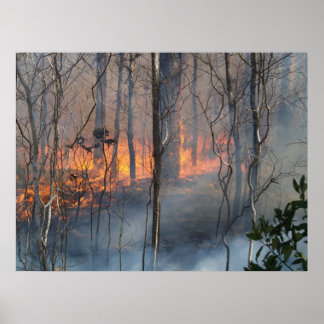 Póster Humo en llamas