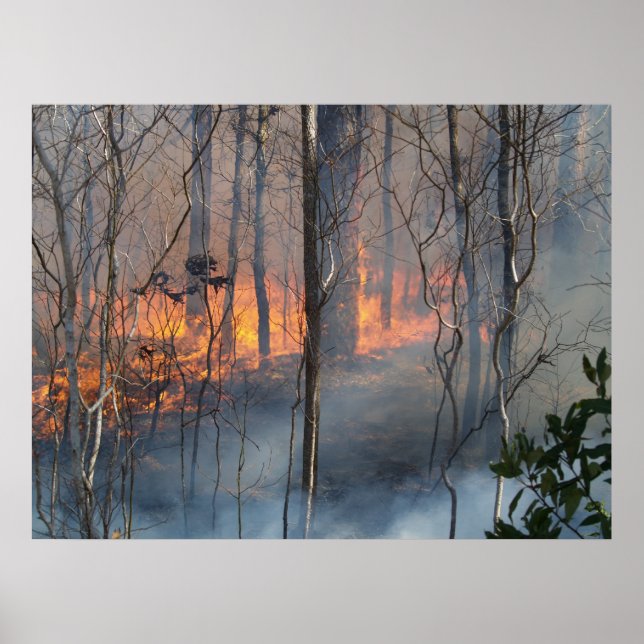 Póster Humo en llamas (Frente)