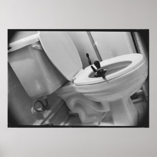 Póster Humor de Baño