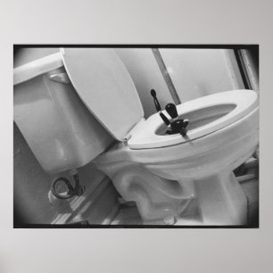 Póster Humor de Baño