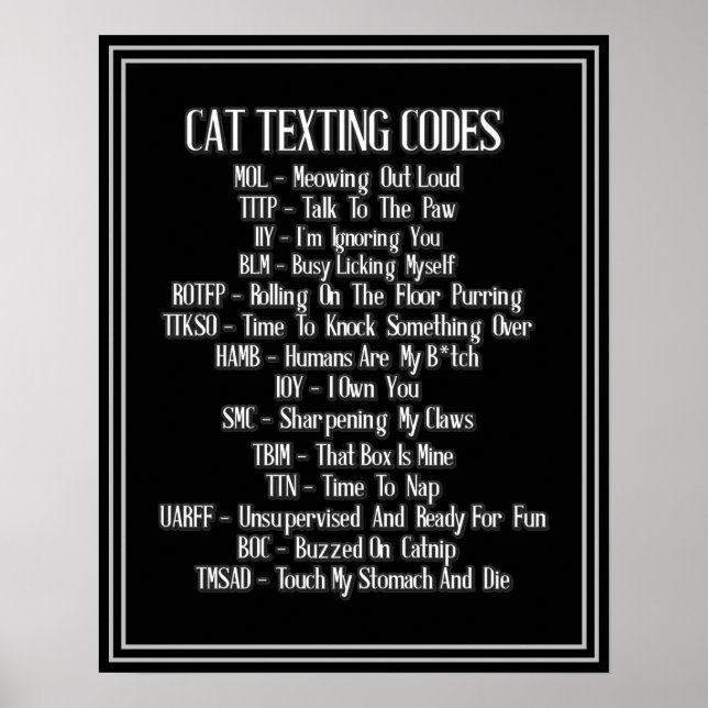 Póster Humor de códigos de texto para gato (Frente)