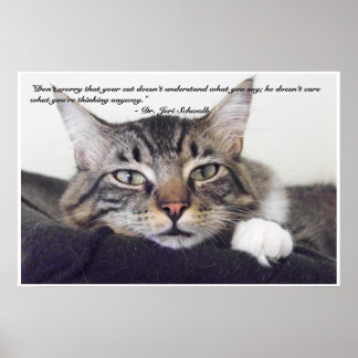 Póster Humor de gato
