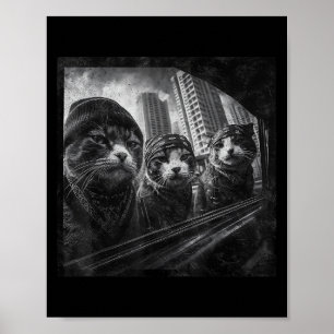 Póster Humor gráfico divertido de Gangster Cats Street