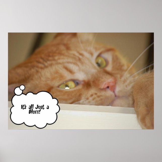 Póster Humor Médica ocular/es todo un desenfoque (Frente)