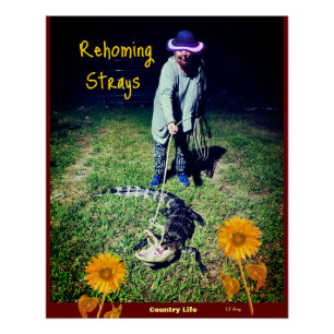 Póster Humor - Vida en el campo - Rehomenaje a los callej