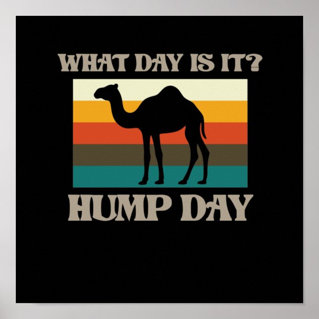 Póster Hump Day Camello Animal Lover Camels Mascota Graph