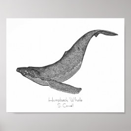 Póster Humpback Whale Dotwork