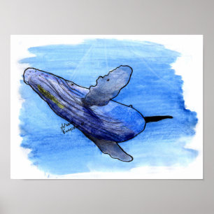 Póster humpback whale drawing poster