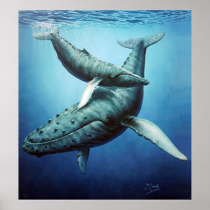 Póster Humpbacks 'Serenity' Mother & Calf-Canvas print