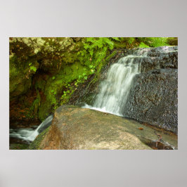 Póster Hungarian Falls Mossy Forest Cascade