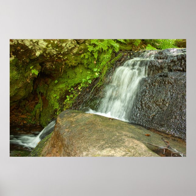 Póster Hungarian Falls Mossy Forest Cascade (Frente)