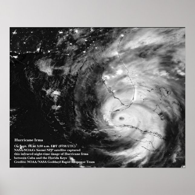 Póster Huracán Irma 8x10 Poster (Frente)