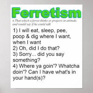 Póster Hurónes divertidos