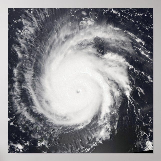 Póster Hurricane Frances (Frente)