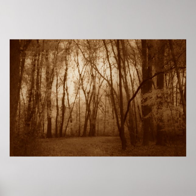 Póster Hush (Frente)