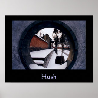 Póster Hush