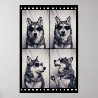 Póster Husky Dog Portrait