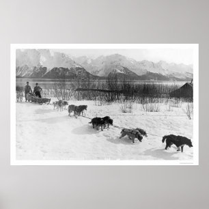 Póster Husky Dog Team Alaska 1918