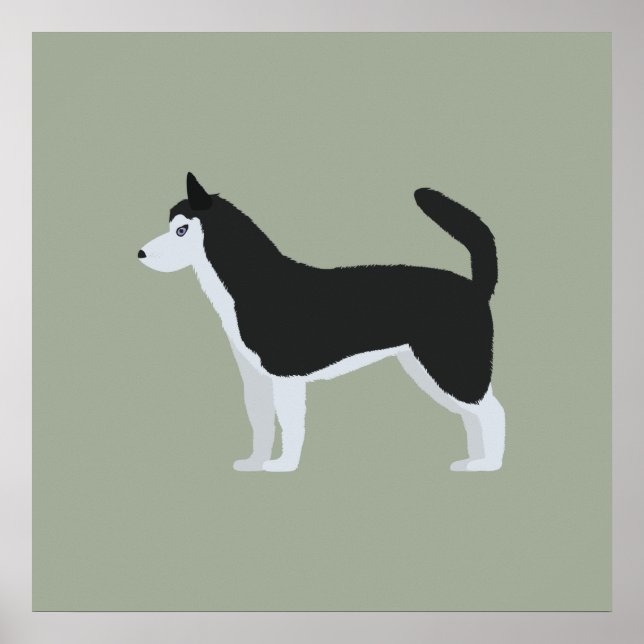 Póster Husky Siberian (Frente)