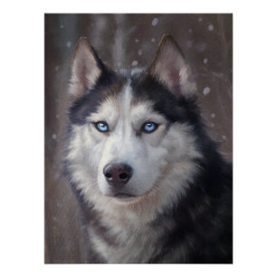 Póster Husky Siberian