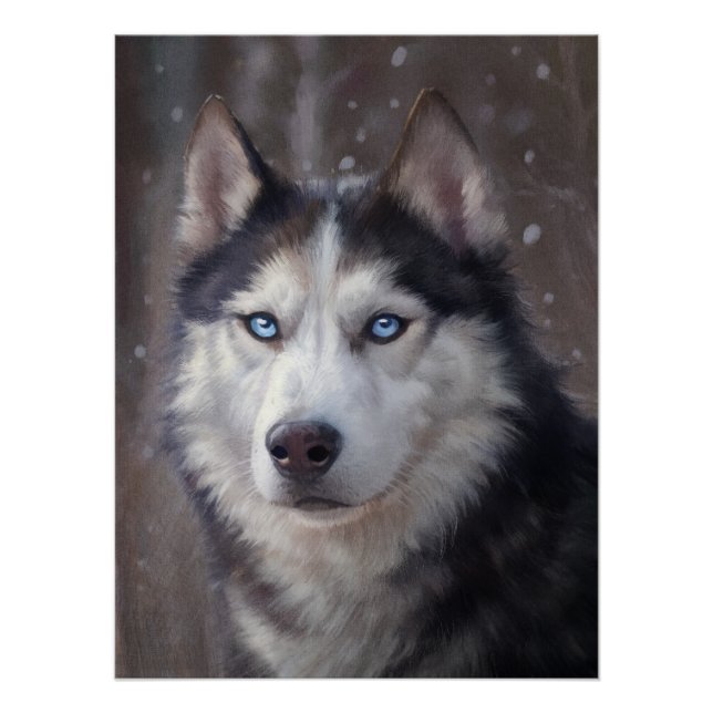Póster Husky Siberian (Anverso)