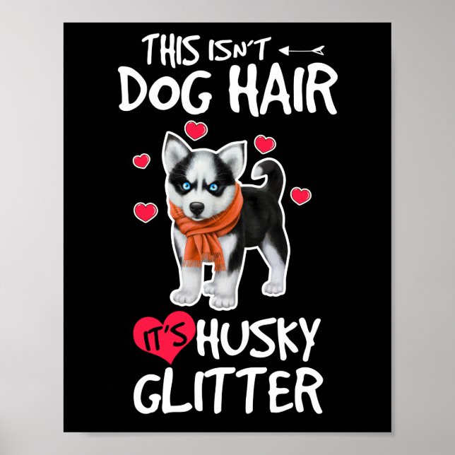 Póster Husky Siberian Cuppy Dog Hair es Husky Purpurina (Frente)