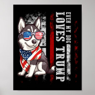 Póster Husky siberiano incluso mi perro ama a Trump diver