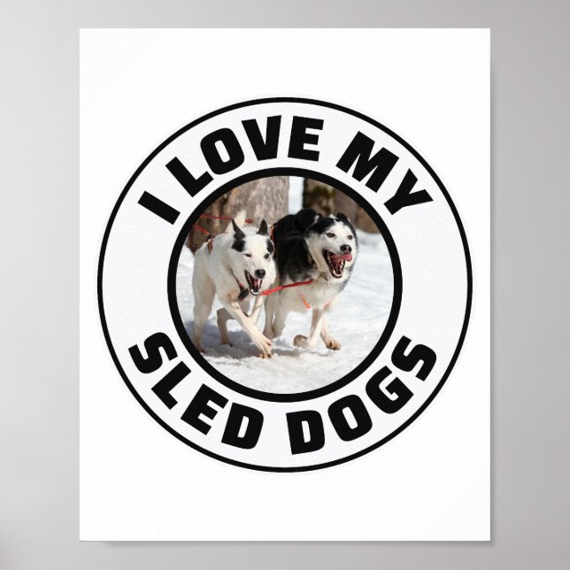 Póster Husky Sledding Carreras Perro congestionado Racers (Frente)