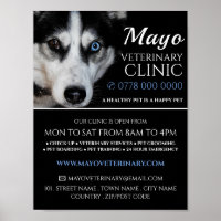 Husky, Veterinaria, Anuncio de Servicio Veterinari