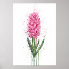Póster Hyacinth