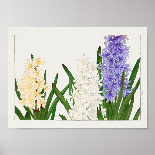 Póster Hyacinth de Tanigami Konan (Frente)
