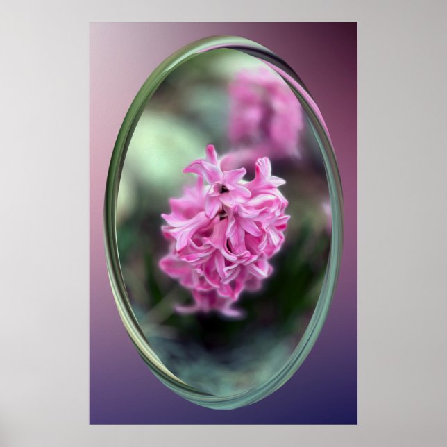 Póster Hyacinth en primavera (Frente)