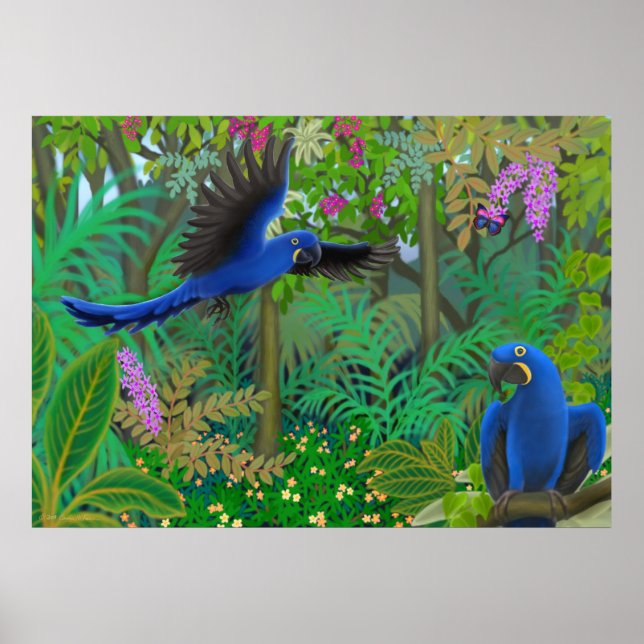 Póster Hyacinth Macaws en el Poster de la selva (Frente)
